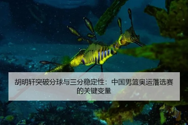 胡明轩突破分球与三分稳定性：中国男篮奥运落选赛的关键变量