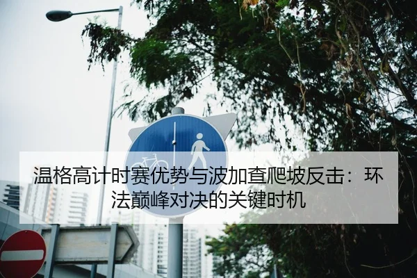 温格高计时赛优势与波加查爬坡反击：环法巅峰对决的关键时机