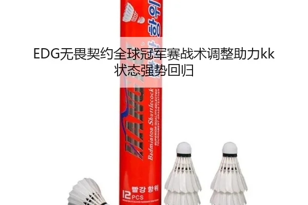 EDG无畏契约全球冠军赛战术调整助力kk状态强势回归